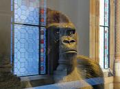 natural history museum londen 5-2018 5174